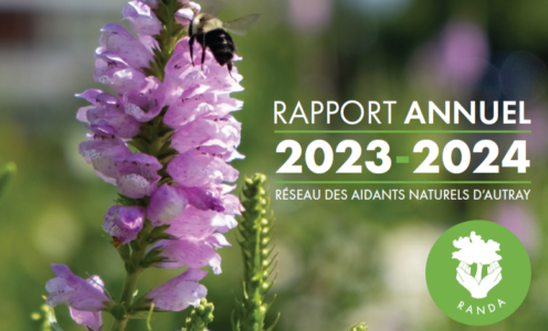 Rapport d’activités – 2023-24