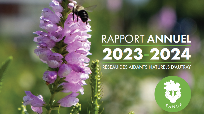 Rapport d’activités – 2023-24